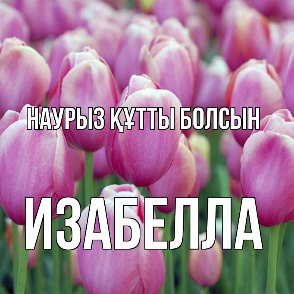 Күн сайын ашық хат с именем, Изабелла Наурыз құтты болсын на наурыз  день 3 Онлайн тегін жүктеп алу тілектері бар керемет карта 