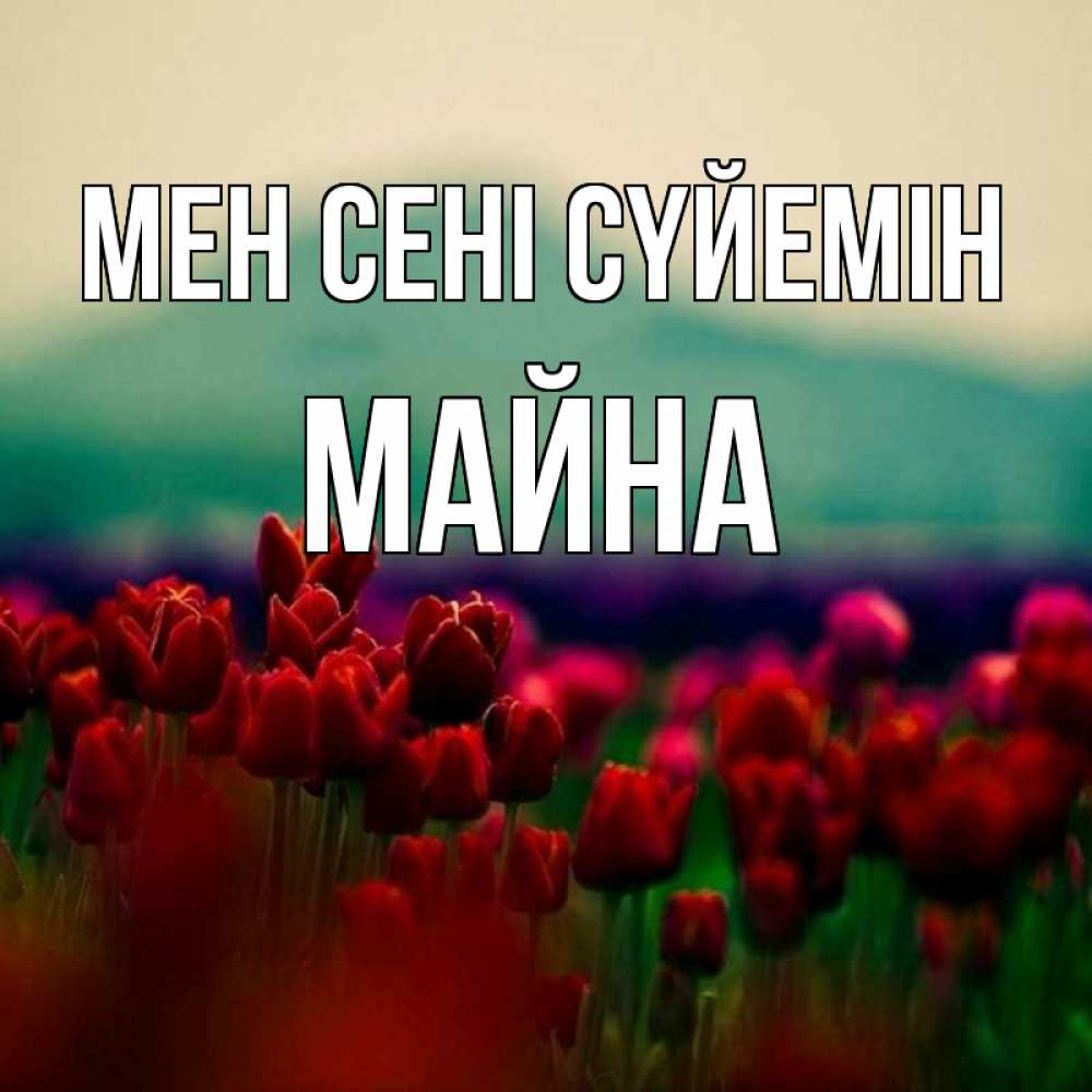 Күн сайын ашық хат с именем, МАЙНА Мен сені сүйемін тюльпаны 4 Онлайн тегін жүктеп алу тілектері бар керемет карта 