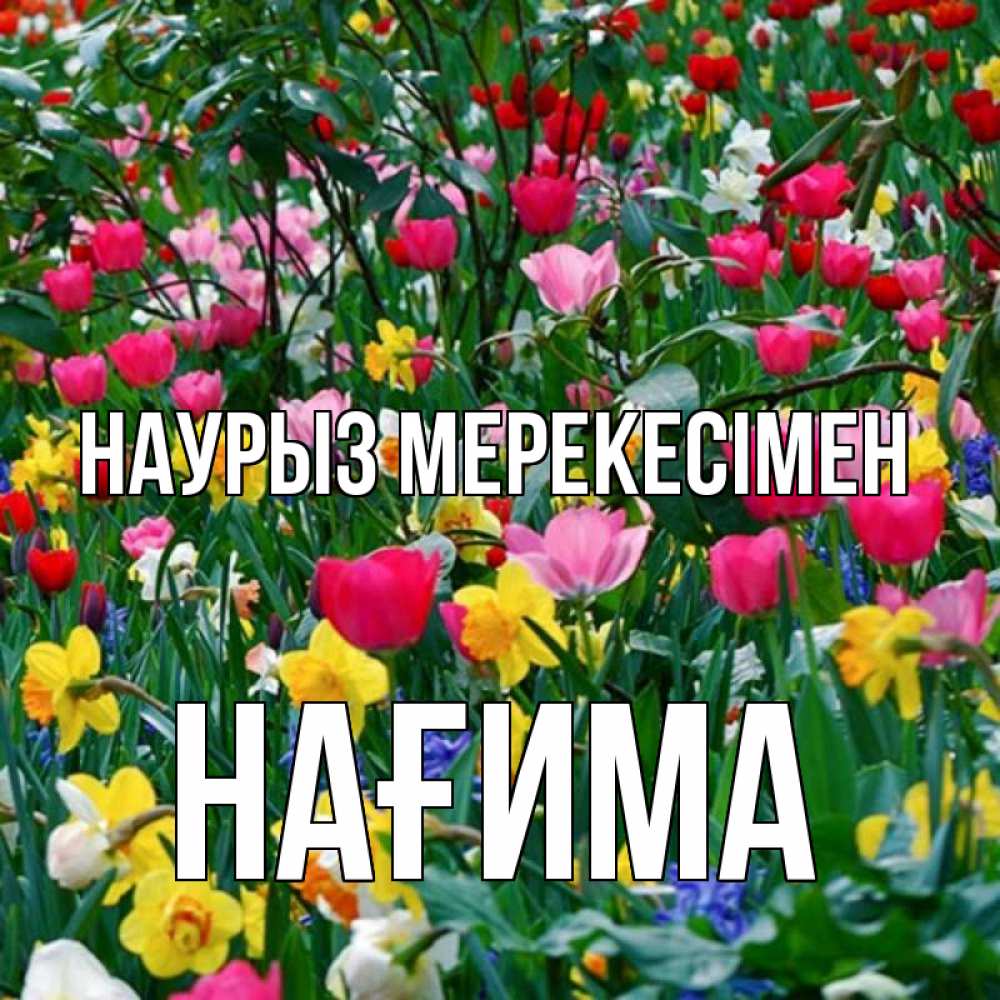 Күн сайын ашық хат с именем, НАҒИМА Наурыз мерекесімен с наурызом праздником весны поздравления для женщины Онлайн тегін жүктеп алу тілектері бар керемет карта 