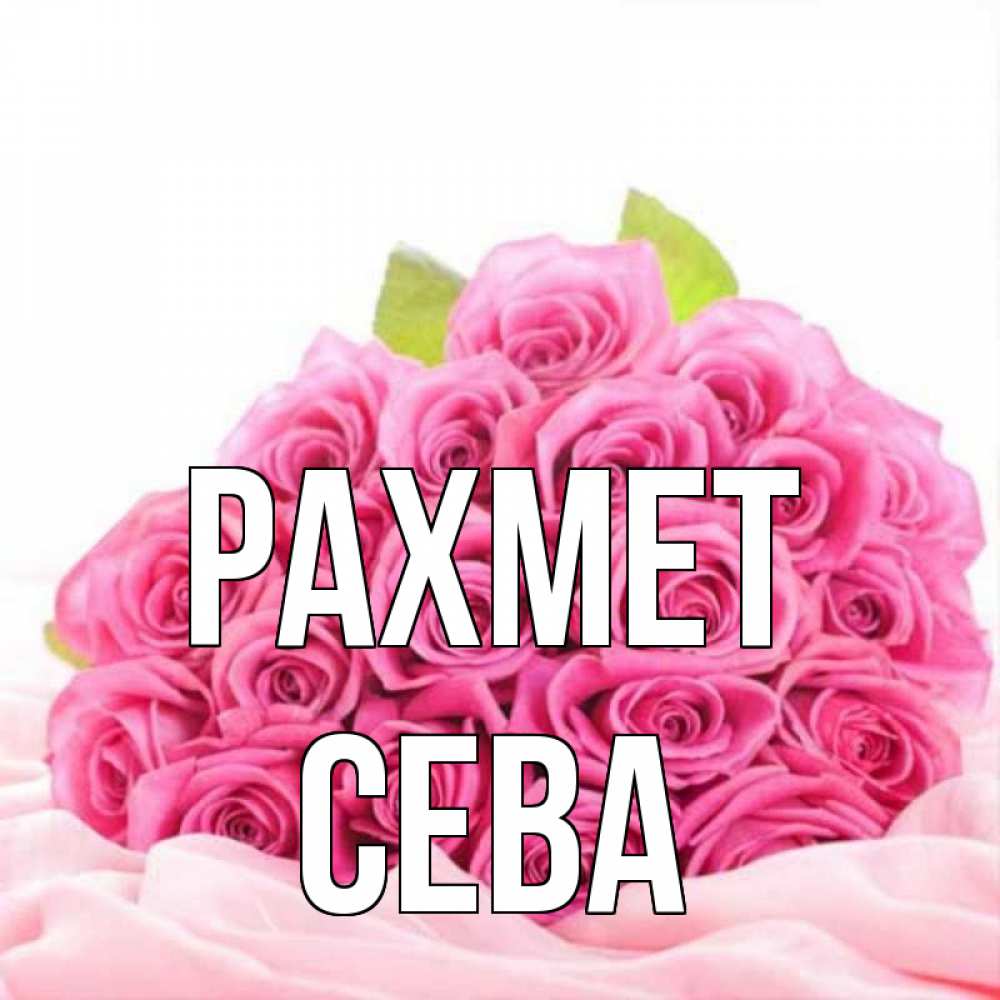 Күн сайын ашық хат с именем, Сева рахмет розовые розы с подписью Онлайн тегін жүктеп алу тілектері бар керемет карта 
