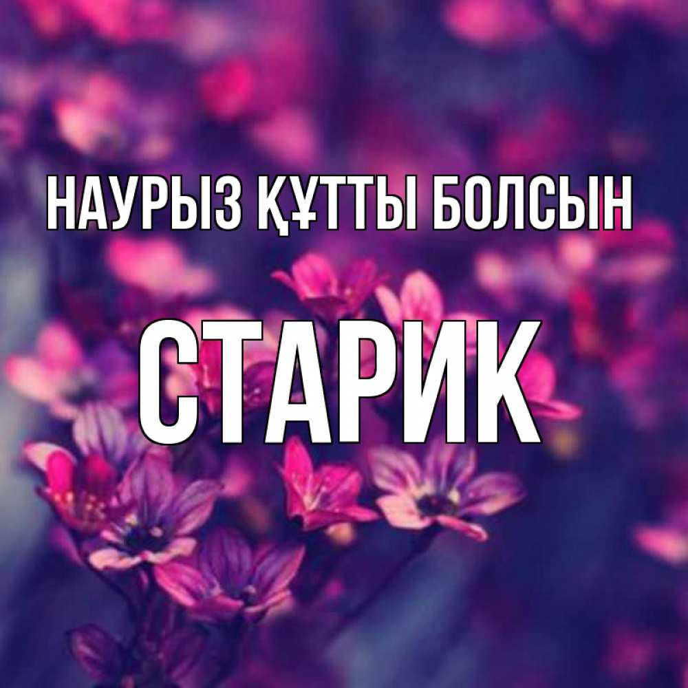 Күн сайын ашық хат с именем, Старик Наурыз құтты болсын небольшие цветы 1 Онлайн тегін жүктеп алу тілектері бар керемет карта 