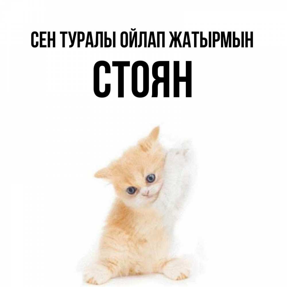 Күн сайын ашық хат с именем, Стоян Сен туралы ойлап жатырмын зверушки и милота Онлайн тегін жүктеп алу тілектері бар керемет карта 