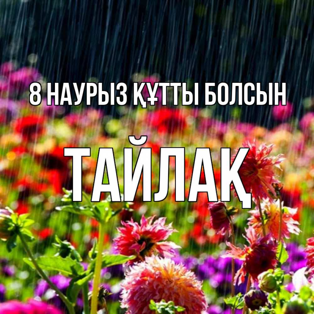 Күн сайын ашық хат с именем, ТАЙЛАҚ 8 наурыз құтты болсын цветы под дождиком к международному женскому дню Онлайн тегін жүктеп алу тілектері бар керемет карта 