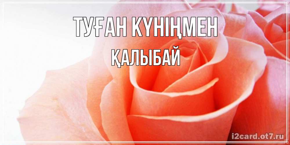 Күн сайын ашық хат с именем, Қалыбай Туған күніңмен розы для поздравления с днем рождения Онлайн тегін жүктеп алу тілектері бар керемет карта 
