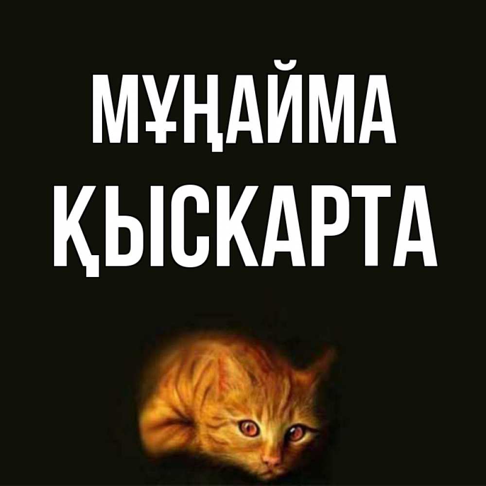 Күн сайын ашық хат с именем, Қыскарта Мұңайма лежащий кот в темноте Онлайн тегін жүктеп алу тілектері бар керемет карта 