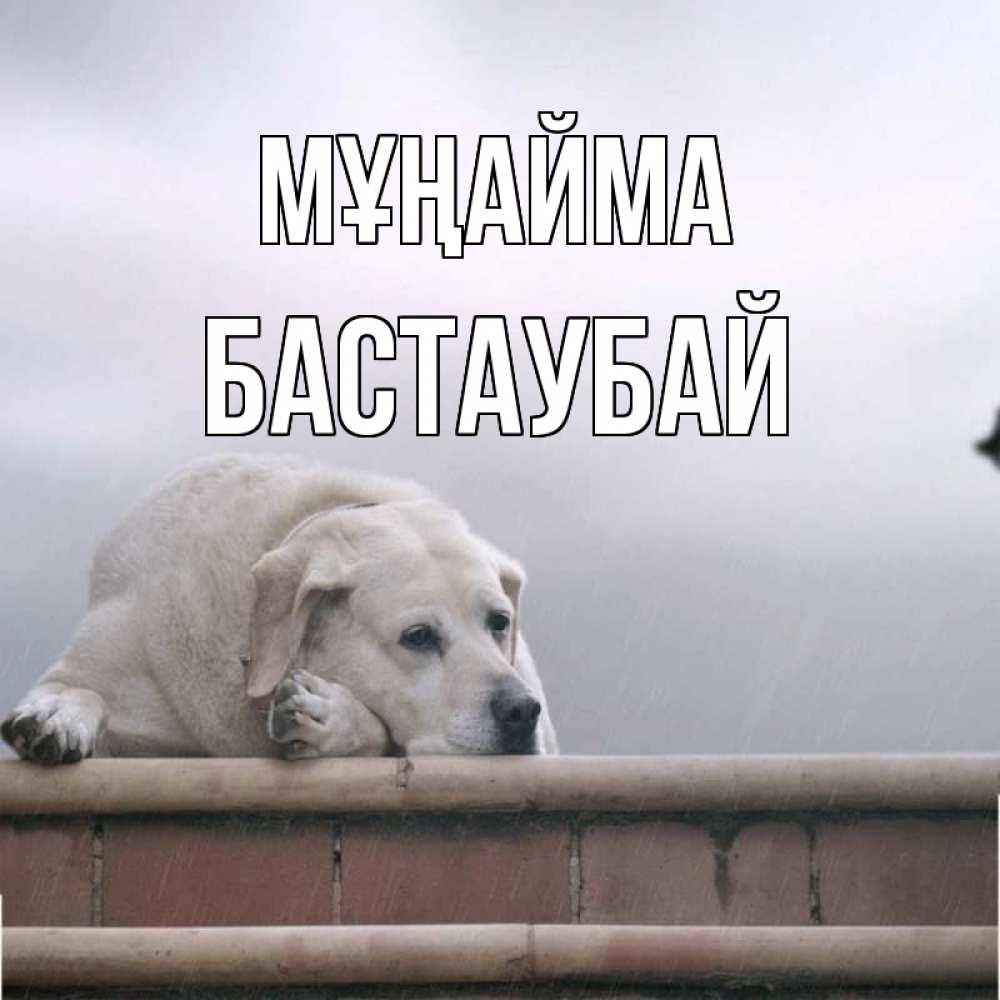 Күн сайын ашық хат с именем, Бастаубай Мұңайма белый пес 1 Онлайн тегін жүктеп алу тілектері бар керемет карта 