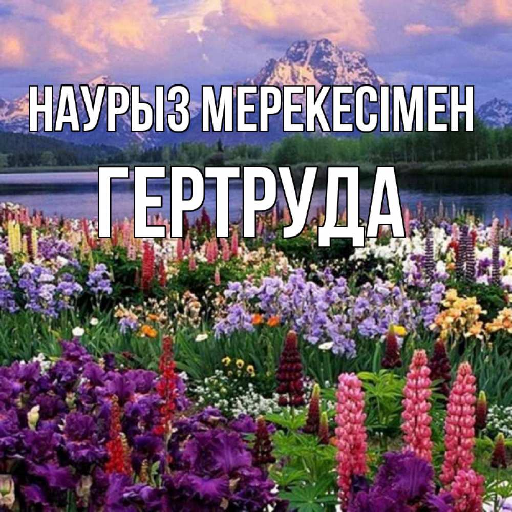 Күн сайын ашық хат с именем, Гертруда Наурыз мерекесімен праздник весны наурыз Онлайн тегін жүктеп алу тілектері бар керемет карта 