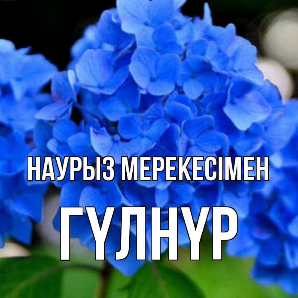 Күн сайын ашық хат с именем, ГҮЛНҮР Наурыз мерекесімен синие цветы Онлайн тегін жүктеп алу тілектері бар керемет карта 