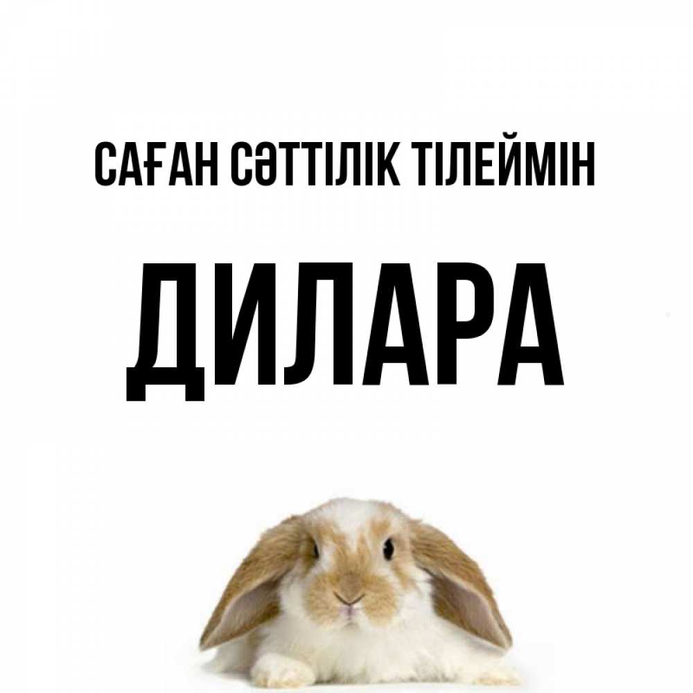 Күн сайын ашық хат с именем, Дилара Саған сәттілік тілеймін открытки с произвольным текстом который можно вставить в открытку и создать ее самостоятельно бесплатно онлайн Онлайн тегін жүктеп алу тілектері бар керемет карта 