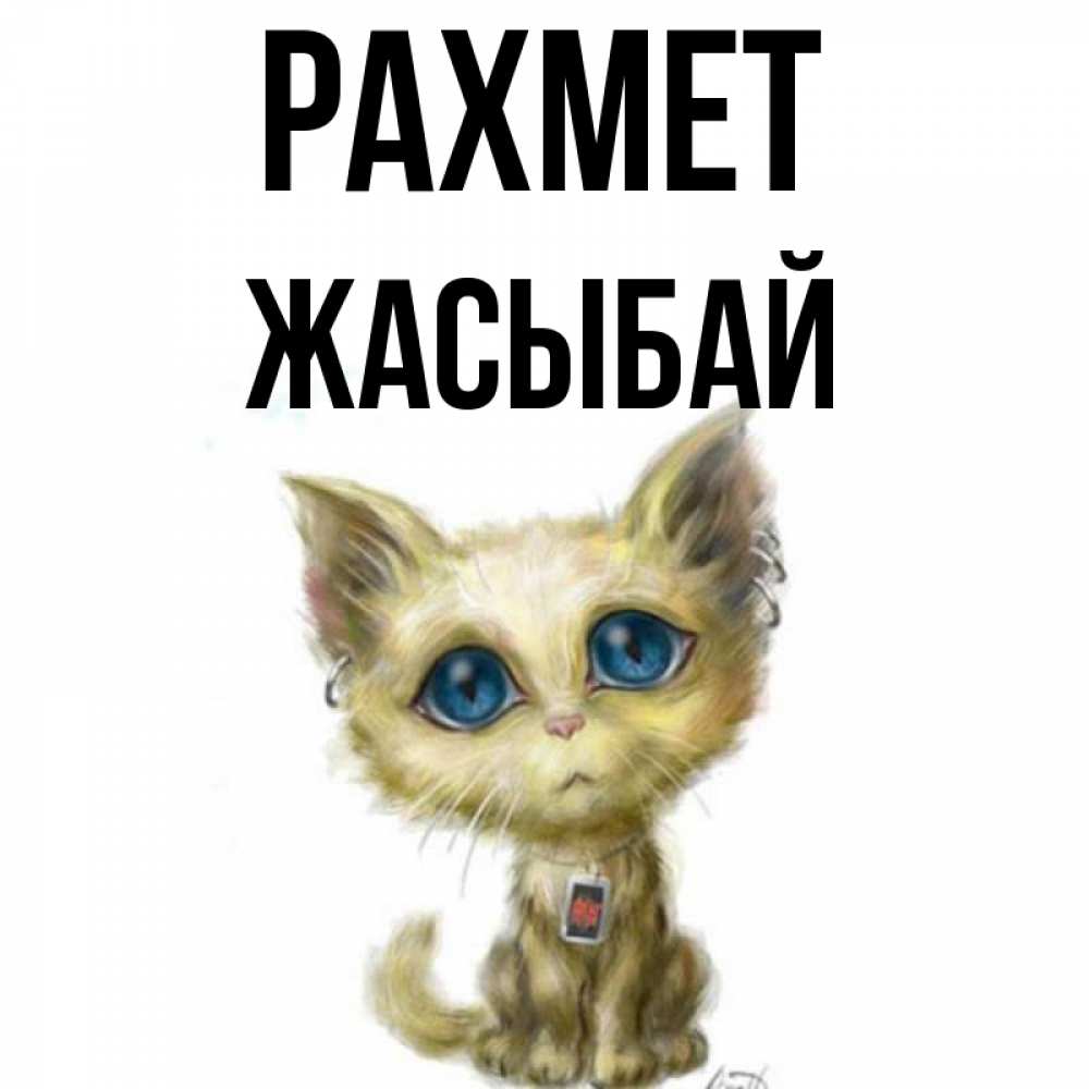 Күн сайын ашық хат с именем, Жасыбай рахмет рисованный кот благодарит вас Онлайн тегін жүктеп алу тілектері бар керемет карта 