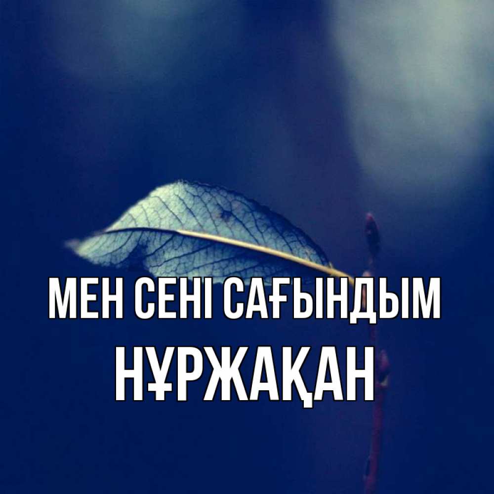 Күн сайын ашық хат с именем, НҰРЖАҚАН Мен сені сағындым одна ветка 1 Онлайн тегін жүктеп алу тілектері бар керемет карта 