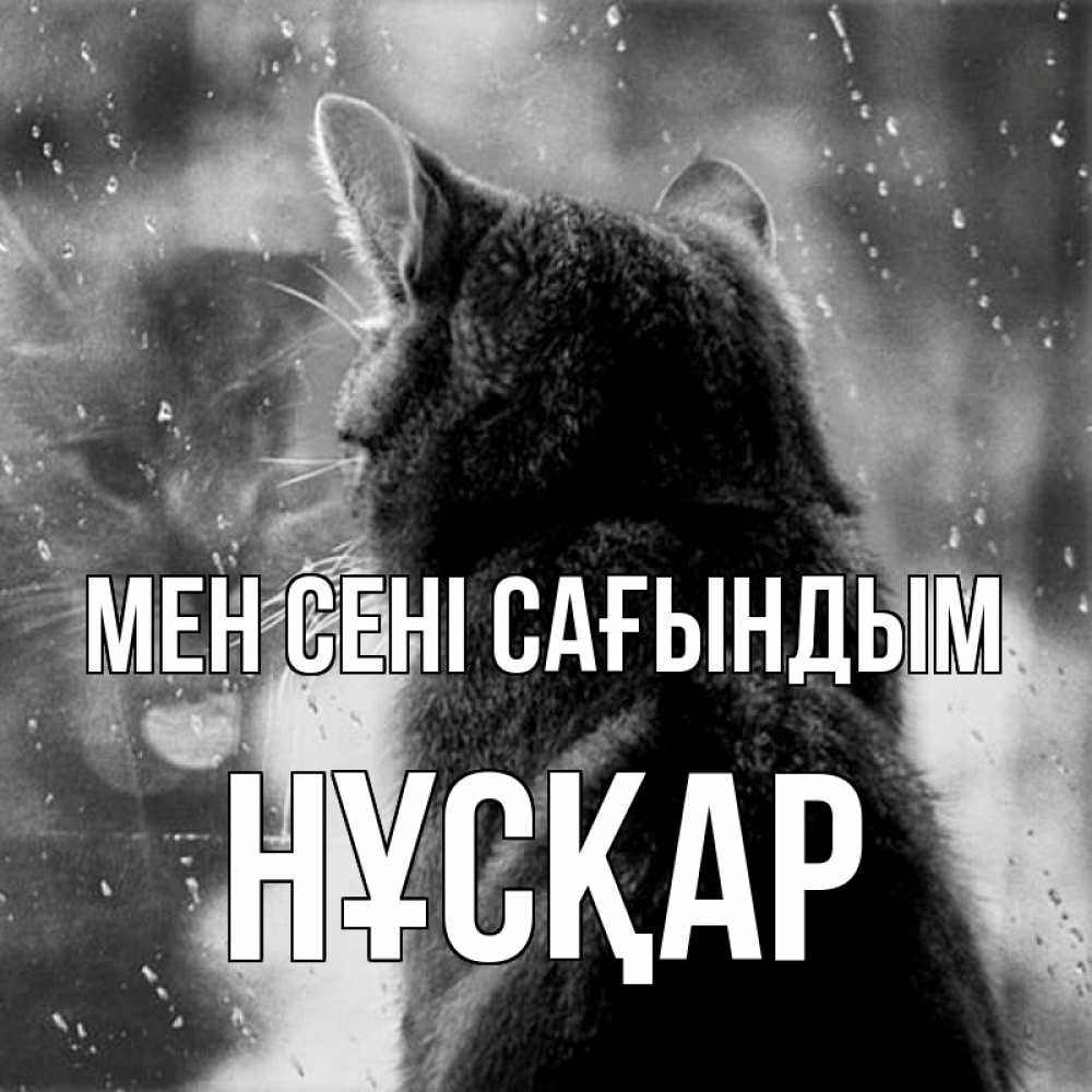 Күн сайын ашық хат с именем, НҰСҚАР Мен сені сағындым скорее ко мне приходи 1 Онлайн тегін жүктеп алу тілектері бар керемет карта 