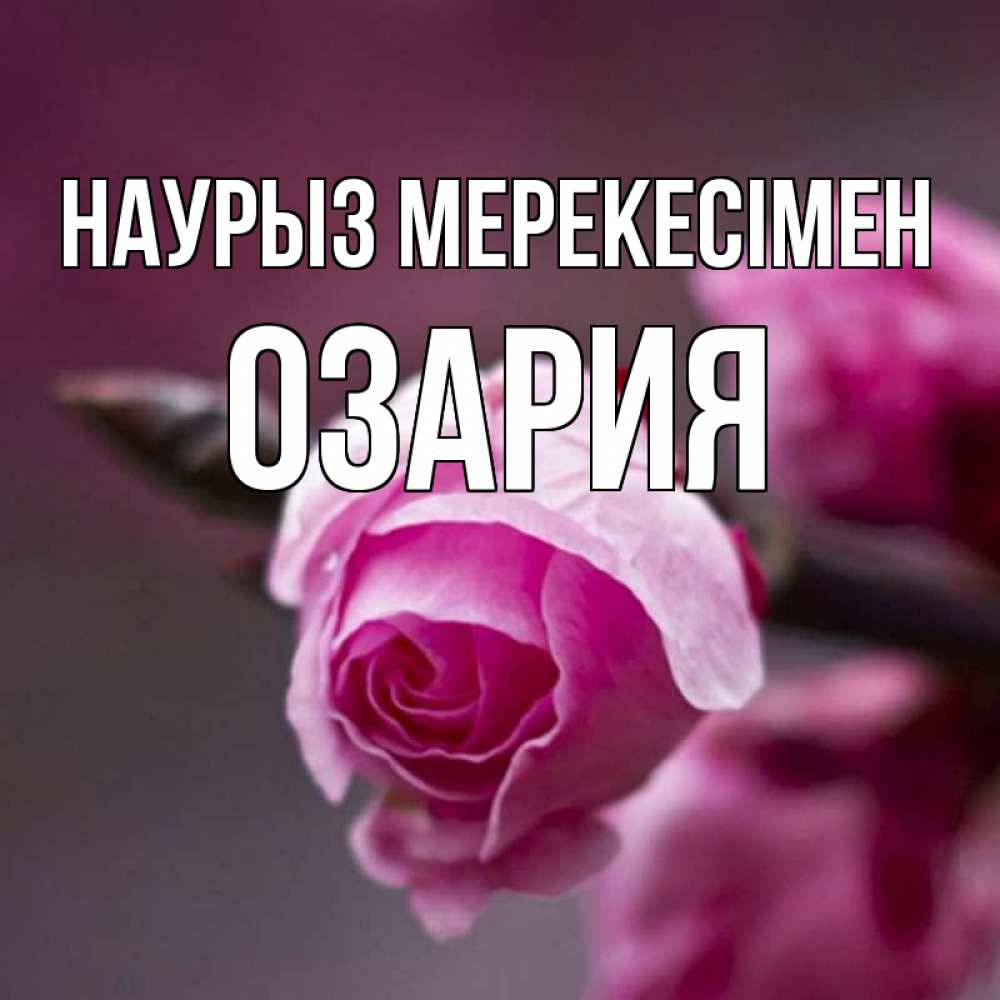 Күн сайын ашық хат с именем, ОЗАРИЯ Наурыз мерекесімен весна Онлайн тегін жүктеп алу тілектері бар керемет карта 