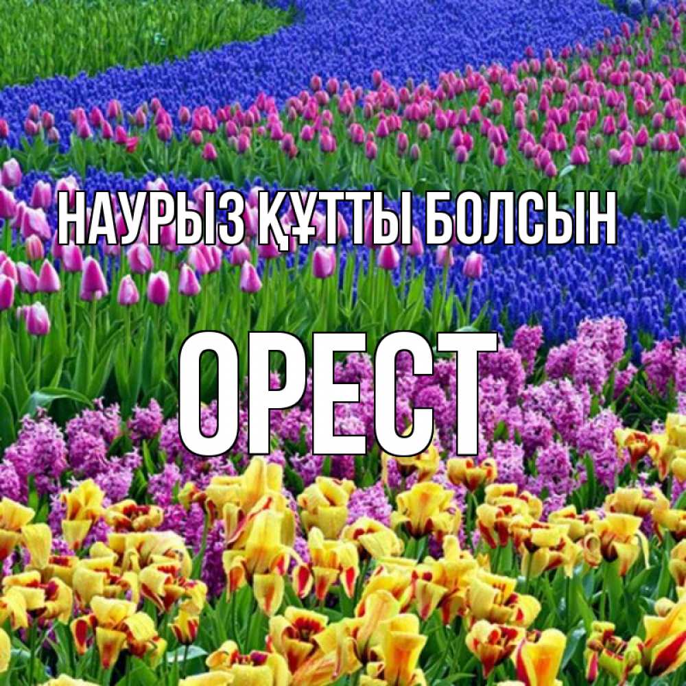 Күн сайын ашық хат с именем, Орест Наурыз құтты болсын цветы Онлайн тегін жүктеп алу тілектері бар керемет карта 