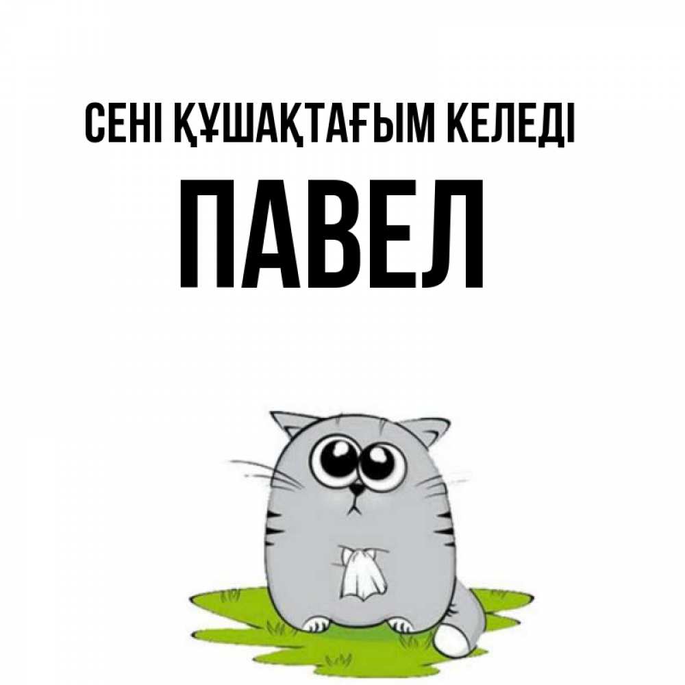Күн сайын ашық хат с именем, Павел сені құшақтағым келеді котик теребит платочек сидя на травке Онлайн тегін жүктеп алу тілектері бар керемет карта 