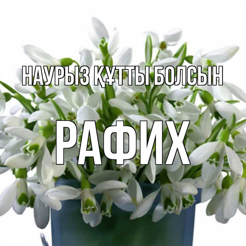 Күн сайын ашық хат с именем, РАФИХ Наурыз құтты болсын цветы к наурызу Онлайн тегін жүктеп алу тілектері бар керемет карта 