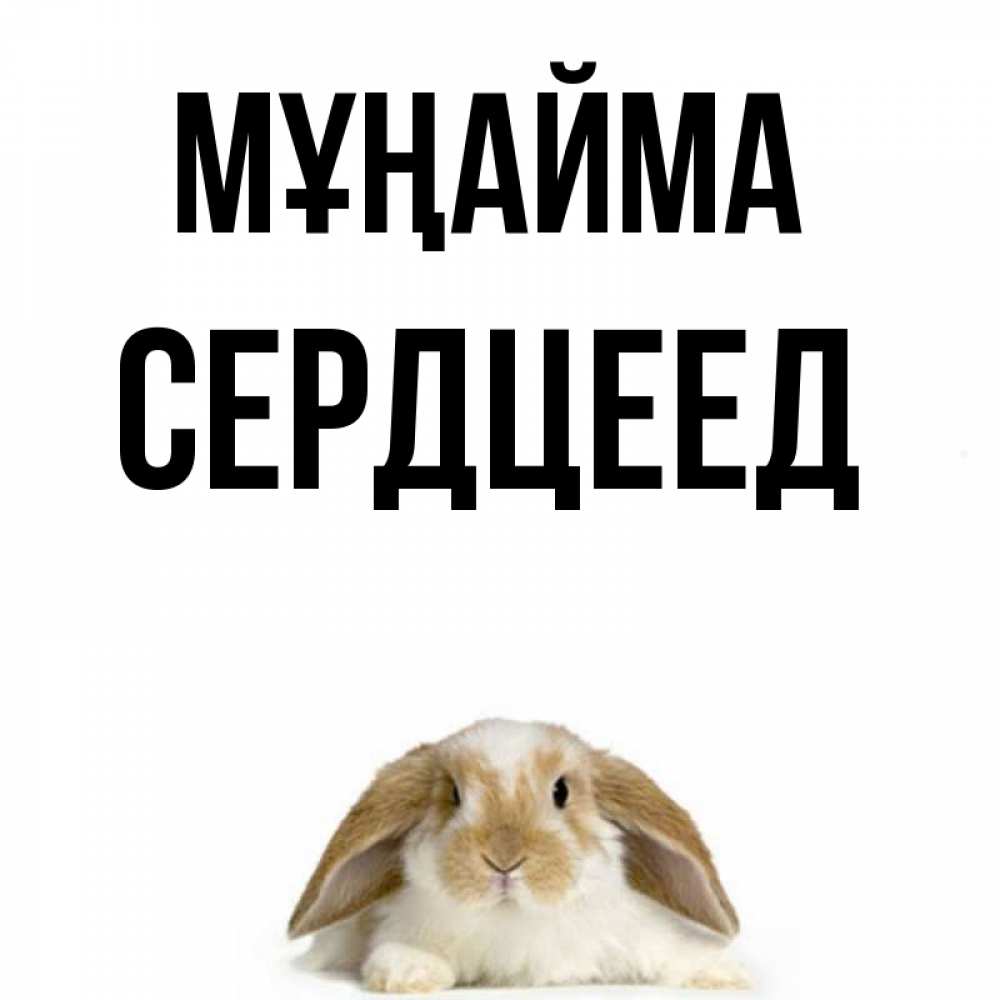 Күн сайын ашық хат с именем, Сердцеед Мұңайма коричнево белый заяц с большими ушками Онлайн тегін жүктеп алу тілектері бар керемет карта 