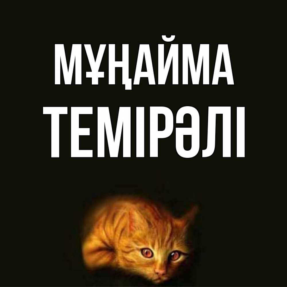 Күн сайын ашық хат с именем, ТЕМІРӘЛІ Мұңайма лежащий кот в темноте Онлайн тегін жүктеп алу тілектері бар керемет карта 