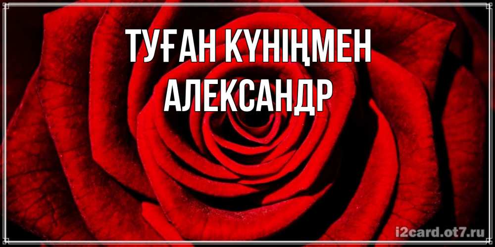 Күн сайын ашық хат с именем, Александр Туған күніңмен алая роза Онлайн тегін жүктеп алу тілектері бар керемет карта 