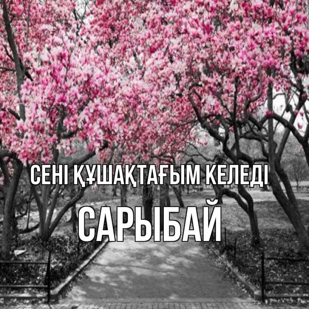 Күн сайын ашық хат с именем, САРЫБАЙ сені құшақтағым келеді обработанное фото Онлайн тегін жүктеп алу тілектері бар керемет карта 
