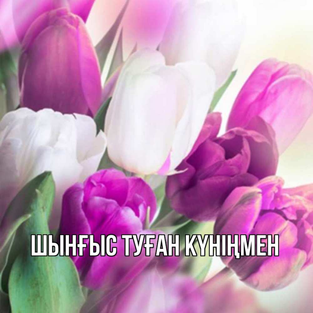 Картинка  с именем , ШЫНҒЫС! ТУҒАН КҮНІҢМЕН!
