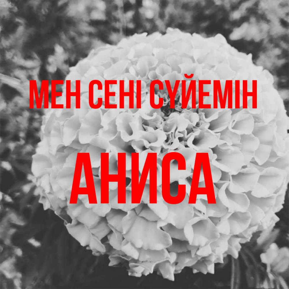 Күн сайын ашық хат с именем, АНИСА Мен сені сүйемін подпись Онлайн тегін жүктеп алу тілектері бар керемет карта 