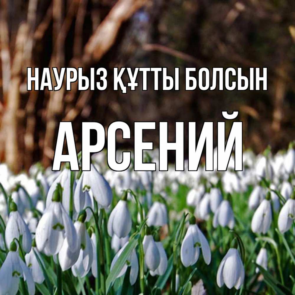 Күн сайын ашық хат с именем, Арсений Наурыз құтты болсын с подснежниками 1 Онлайн тегін жүктеп алу тілектері бар керемет карта 