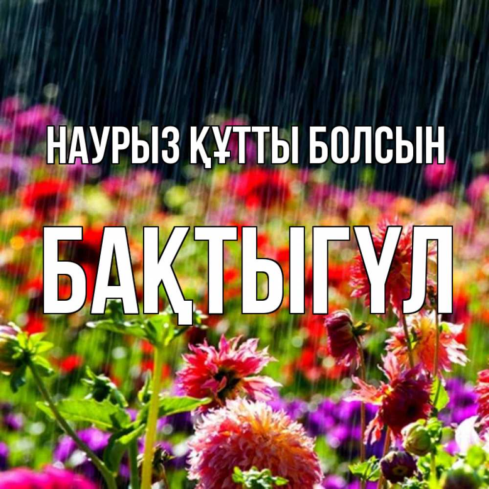 Күн сайын ашық хат с именем, БАҚТЫГҮЛ Наурыз құтты болсын цветы под дождиком к наурызу Онлайн тегін жүктеп алу тілектері бар керемет карта 