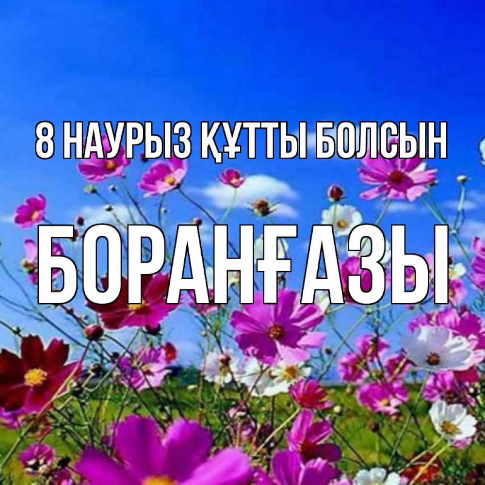 Күн сайын ашық хат с именем, Боранғазы 8 наурыз құтты болсын цветы Онлайн тегін жүктеп алу тілектері бар керемет карта 