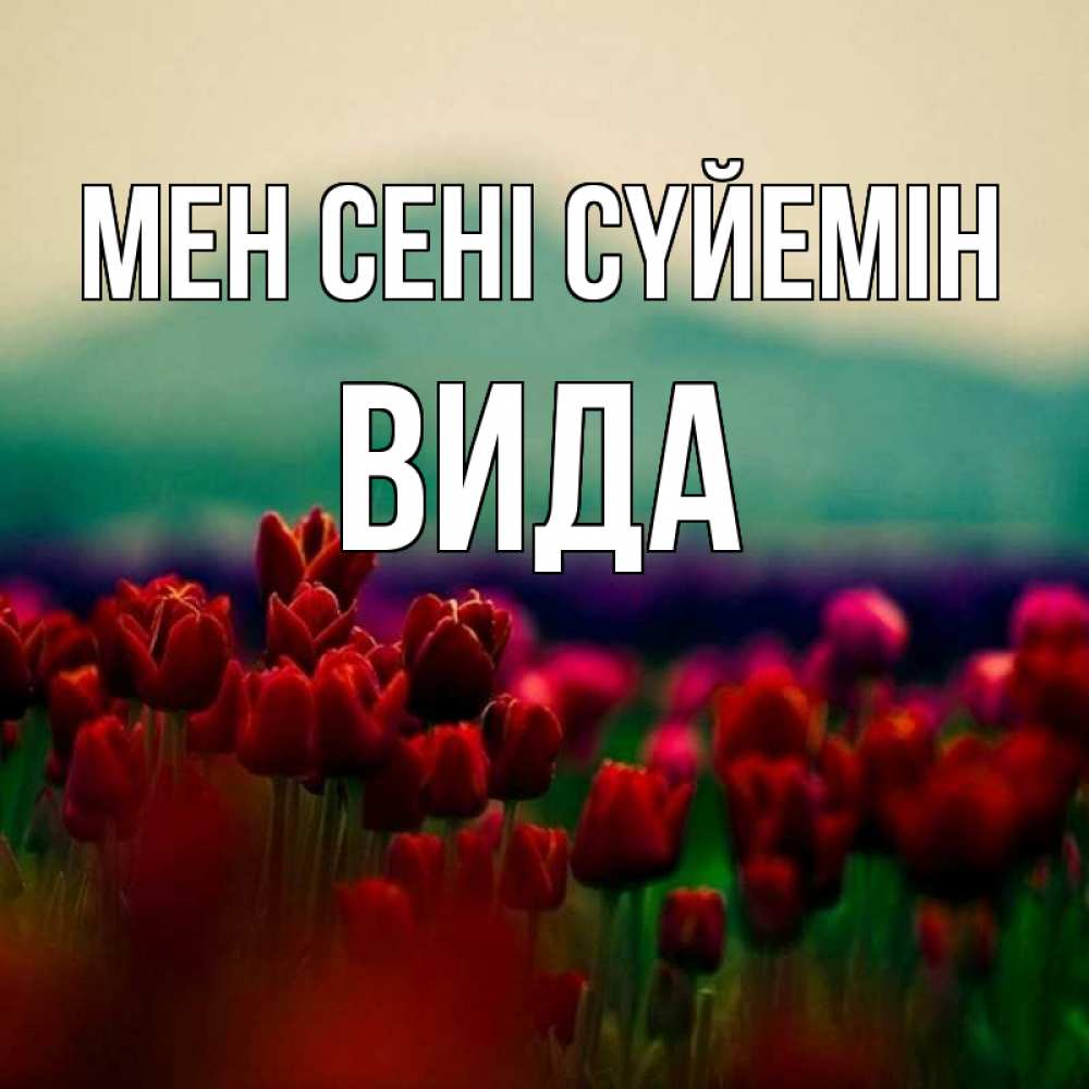 Күн сайын ашық хат с именем, Вида Мен сені сүйемін тюльпаны 4 Онлайн тегін жүктеп алу тілектері бар керемет карта 