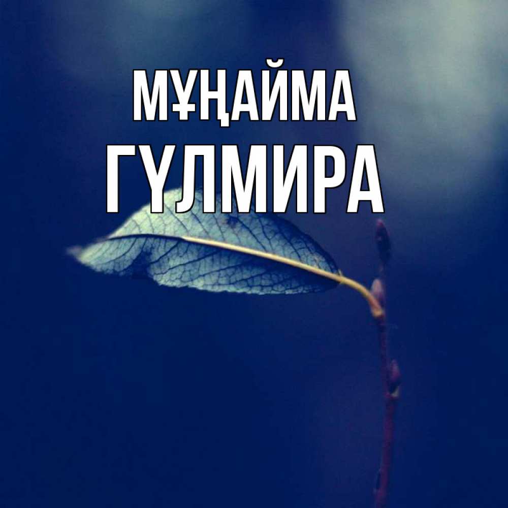 Күн сайын ашық хат с именем, ГҮЛМИРА Мұңайма растение Онлайн тегін жүктеп алу тілектері бар керемет карта 