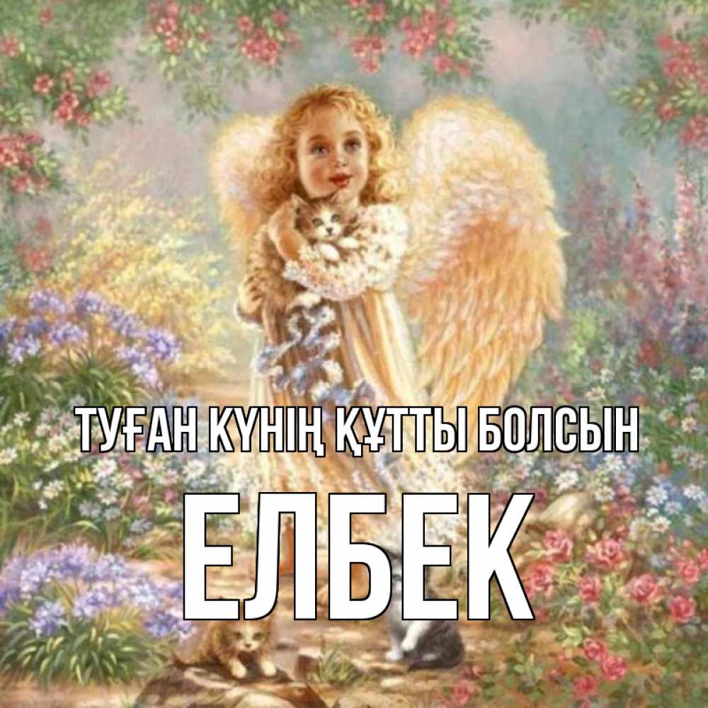 Күн сайын ашық хат с именем, Елбек Туған күнің құтты болсын держит котенка Онлайн тегін жүктеп алу тілектері бар керемет карта 