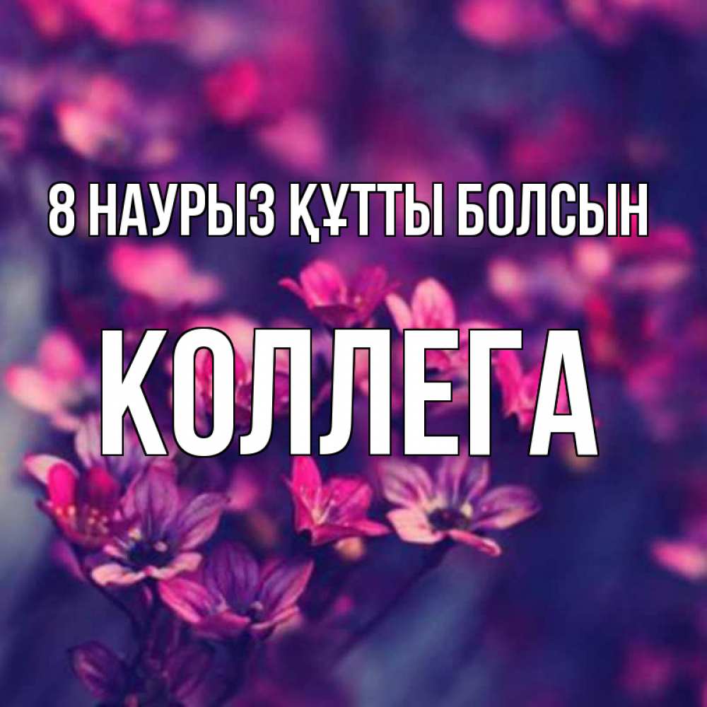 Күн сайын ашық хат с именем, Коллега 8 наурыз құтты болсын небольшие цветы 1 Онлайн тегін жүктеп алу тілектері бар керемет карта 