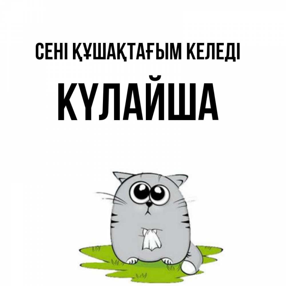 Күн сайын ашық хат с именем, КҮЛАЙША сені құшақтағым келеді котик теребит платочек сидя на травке Онлайн тегін жүктеп алу тілектері бар керемет карта 