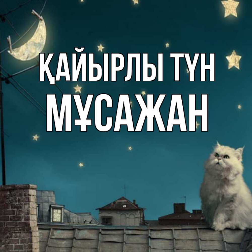 Күн сайын ашық хат с именем, Мұсажан Қайырлы түн белый кот сидит на крыше Онлайн тегін жүктеп алу тілектері бар керемет карта 