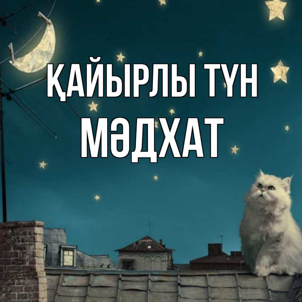 Күн сайын ашық хат с именем, МӘДХАТ Қайырлы түн белый кот сидит на крыше Онлайн тегін жүктеп алу тілектері бар керемет карта 