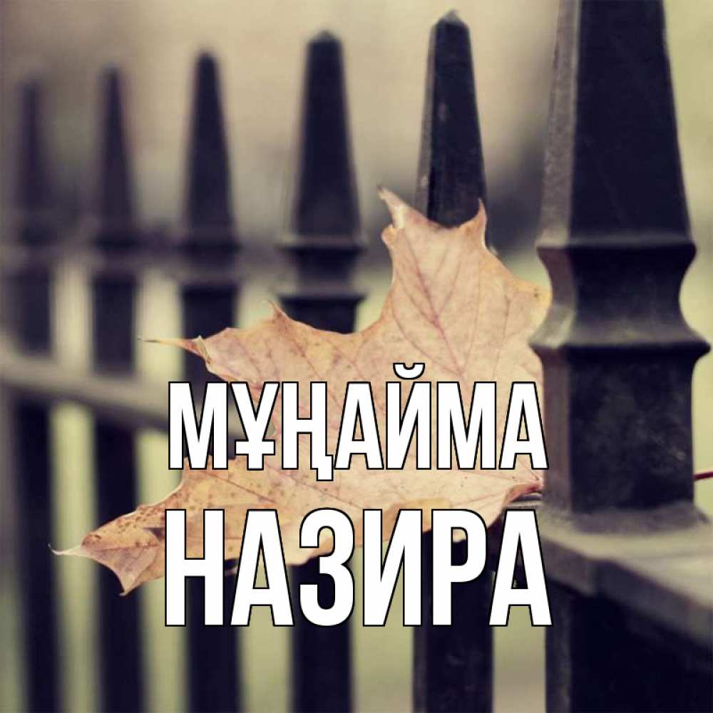 Күн сайын ашық хат с именем, Назира Мұңайма лист клена Онлайн тегін жүктеп алу тілектері бар керемет карта 
