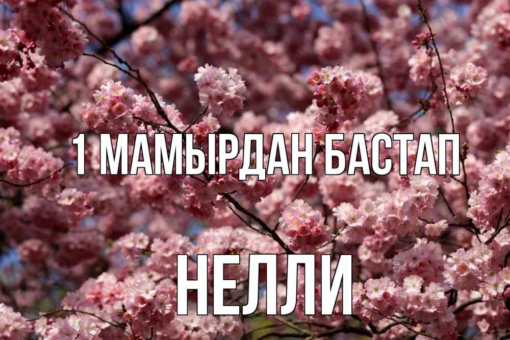 Күн сайын ашық хат с именем, Нелли 1 мамырдан бастап С 1 мая Онлайн тегін жүктеп алу тілектері бар керемет карта 