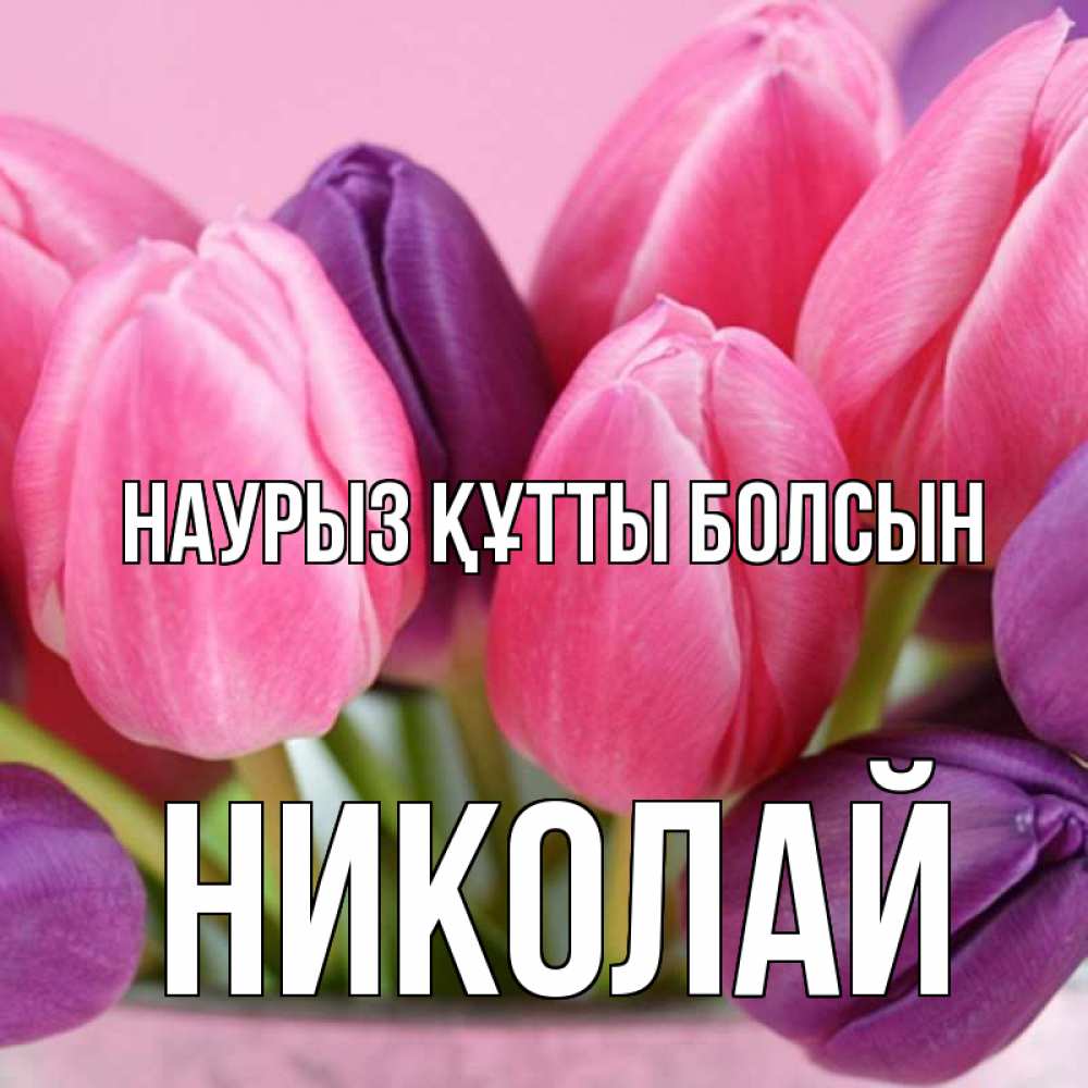 Күн сайын ашық хат с именем, Николай Наурыз құтты болсын маме 1 Онлайн тегін жүктеп алу тілектері бар керемет карта 