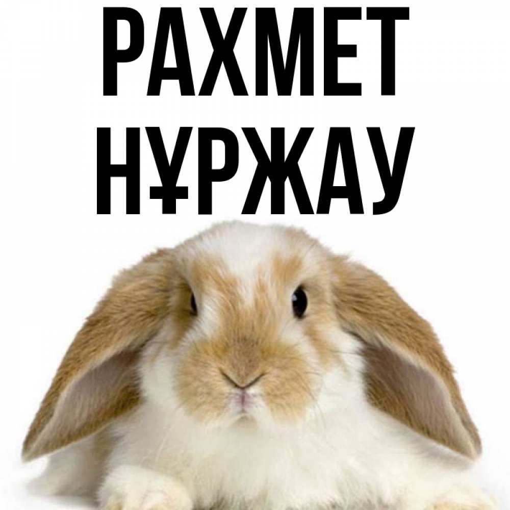 Күн сайын ашық хат с именем, НҰРЖАУ рахмет коричнево белый заяц Онлайн тегін жүктеп алу тілектері бар керемет карта 