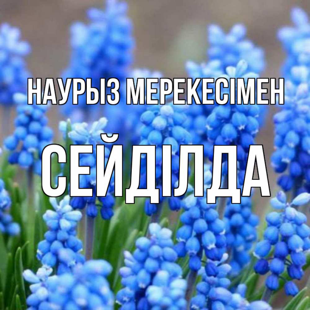 Күн сайын ашық хат с именем, СЕЙДІЛДА Наурыз мерекесімен Поздравительная открытка для женщин с цветами на праздничную дату Онлайн тегін жүктеп алу тілектері бар керемет карта 
