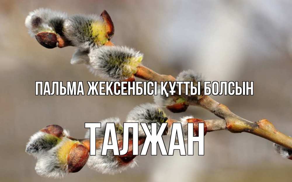 Күн сайын ашық хат с именем, ТАЛЖАН Пальма жексенбісі құтты болсын Верба Онлайн тегін жүктеп алу тілектері бар керемет карта 