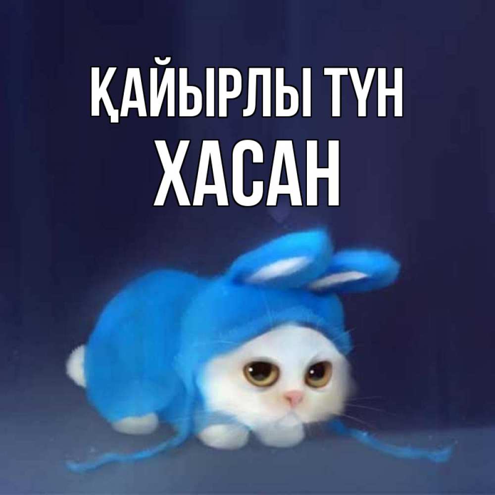 Күн сайын ашық хат с именем, ХАСАН Қайырлы түн кот в голубом костюме кролика с ушками Онлайн тегін жүктеп алу тілектері бар керемет карта 
