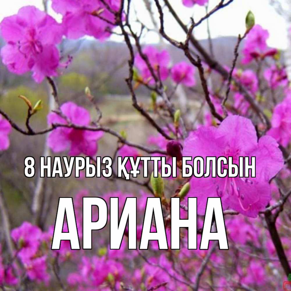 Күн сайын ашық хат с именем, Ариана 8 наурыз құтты болсын международный женский день Онлайн тегін жүктеп алу тілектері бар керемет карта 