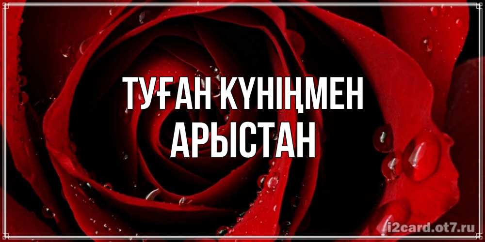 Күн сайын ашық хат с именем, Арыстан Туған күніңмен крупная бордовая роза Онлайн тегін жүктеп алу тілектері бар керемет карта 