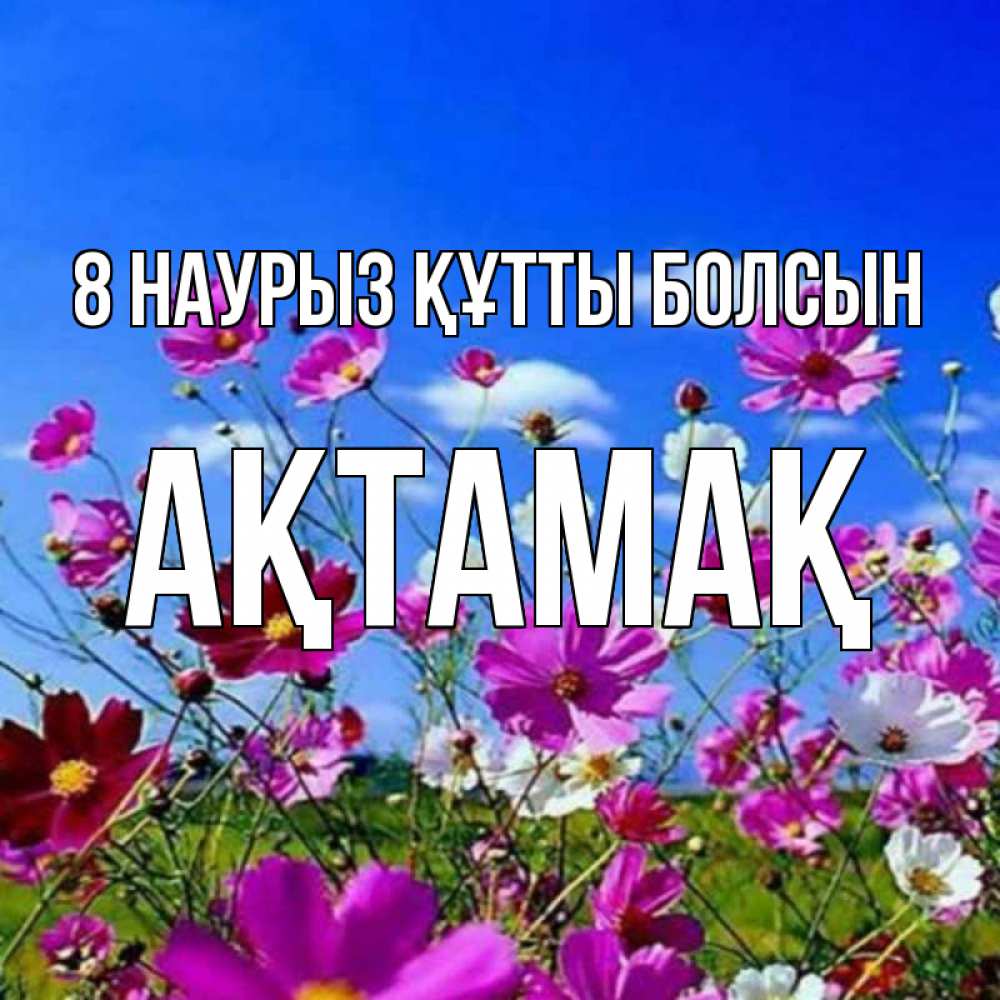 Күн сайын ашық хат с именем, Ақтамақ 8 наурыз құтты болсын цветы Онлайн тегін жүктеп алу тілектері бар керемет карта 