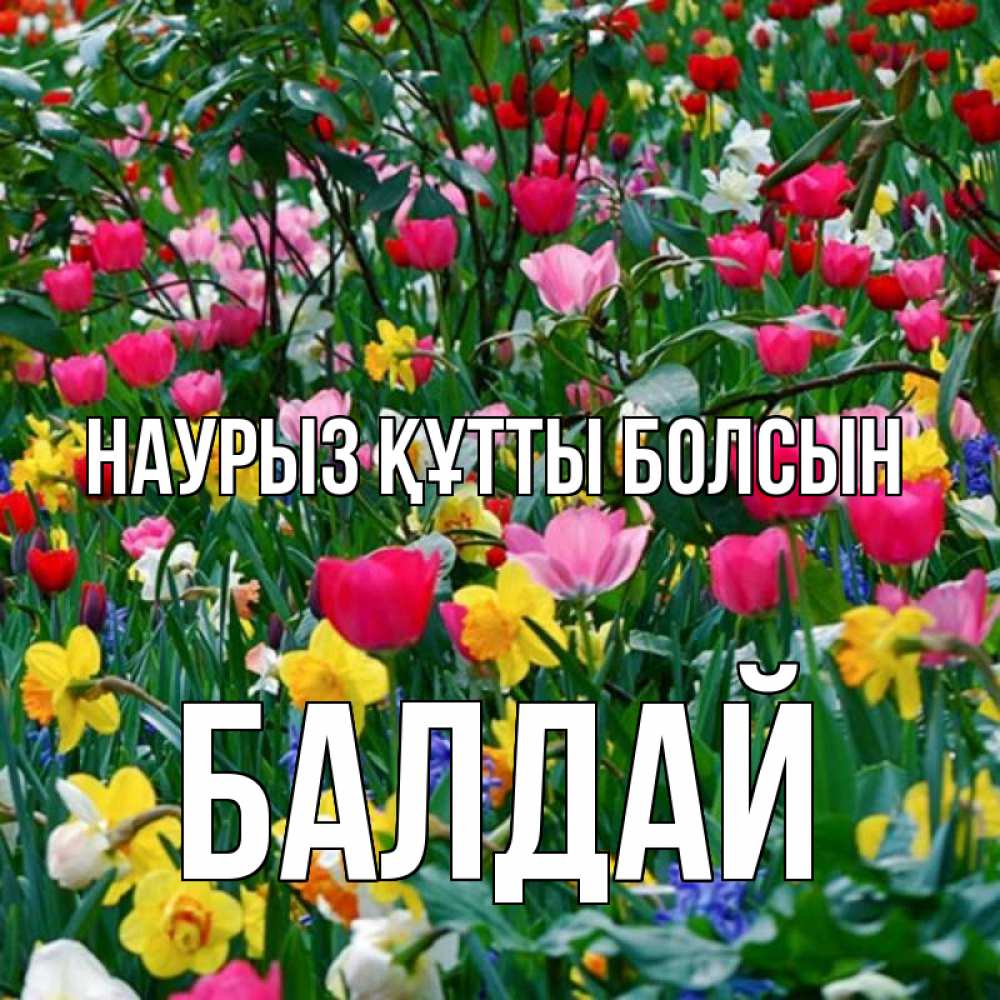 Күн сайын ашық хат с именем, БАЛДАЙ Наурыз құтты болсын с наурызом поздравления для женщины Онлайн тегін жүктеп алу тілектері бар керемет карта 