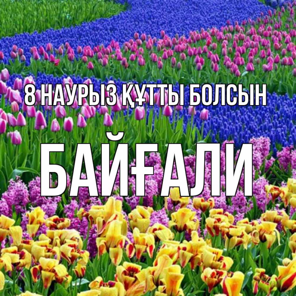 Күн сайын ашық хат с именем, Байғали 8 наурыз құтты болсын цветы Онлайн тегін жүктеп алу тілектері бар керемет карта 