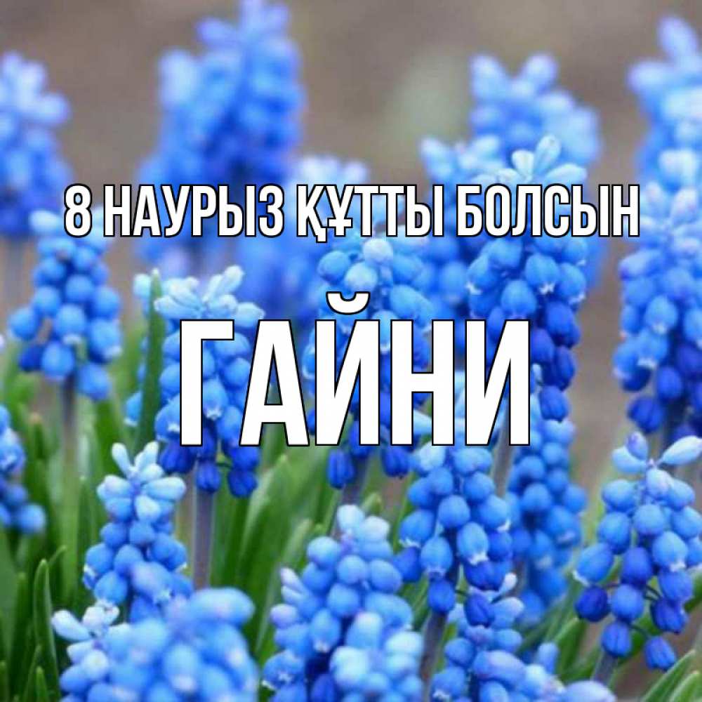 Күн сайын ашық хат с именем, ГАЙНИ 8 наурыз құтты болсын Поздравительная открытка для женщин с цветами на праздничную дату Онлайн тегін жүктеп алу тілектері бар керемет карта 
