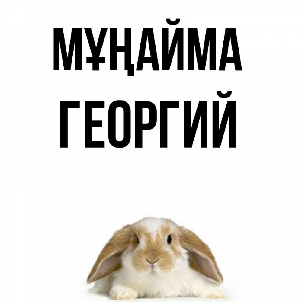 Күн сайын ашық хат с именем, Георгий Мұңайма коричнево белый заяц с большими ушками Онлайн тегін жүктеп алу тілектері бар керемет карта 